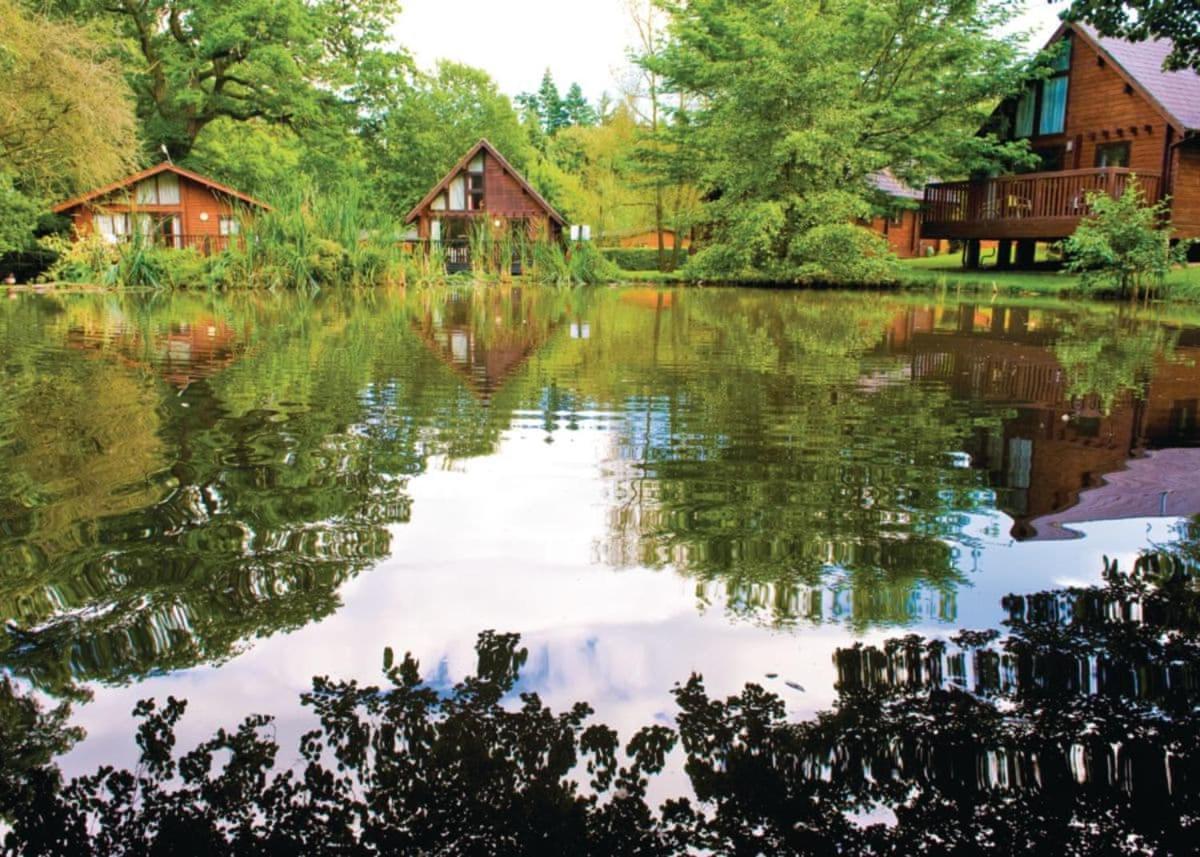 Hotel Whitemead Forest Park Parkend Exterior foto