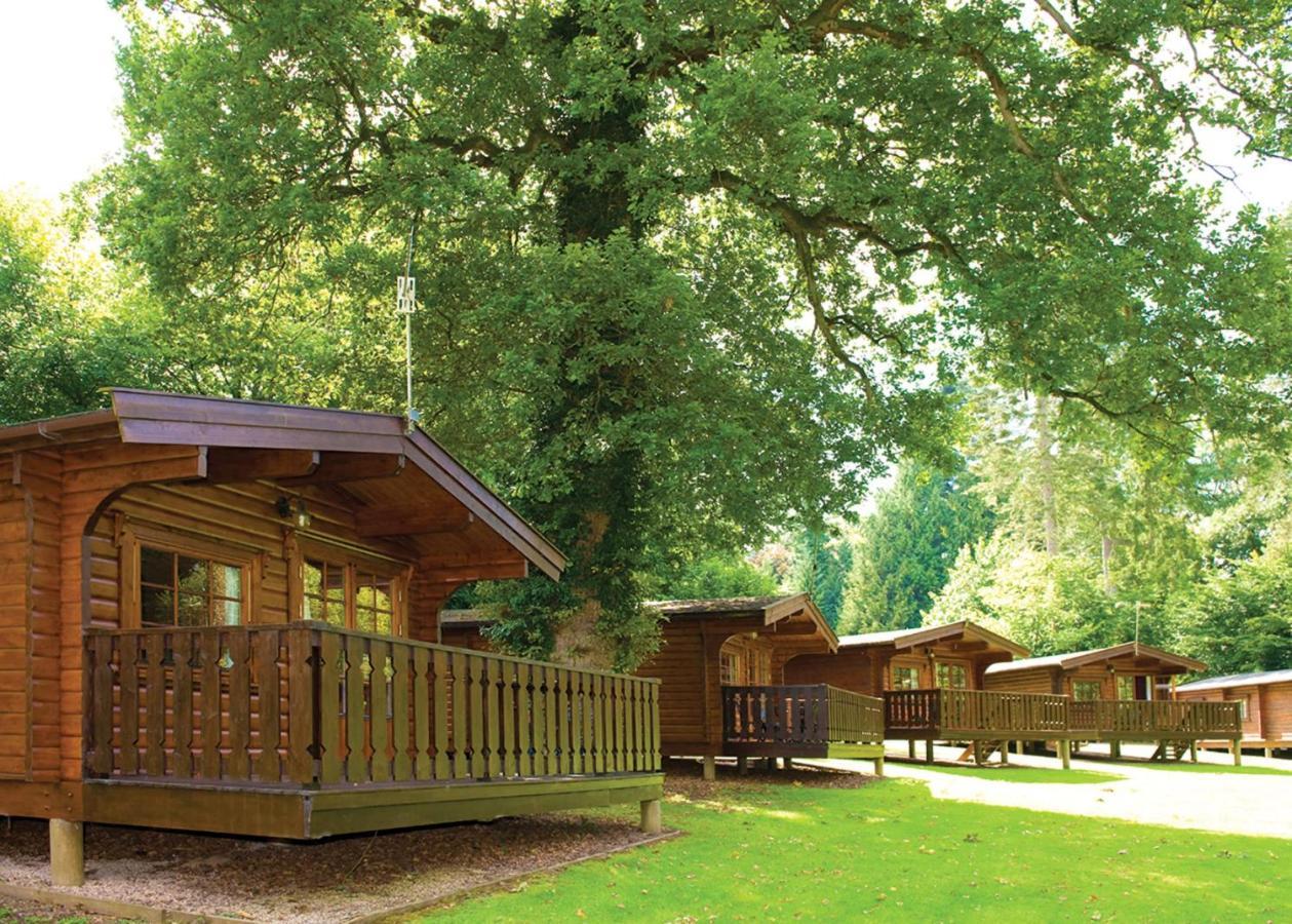 Hotel Whitemead Forest Park Parkend Exterior foto